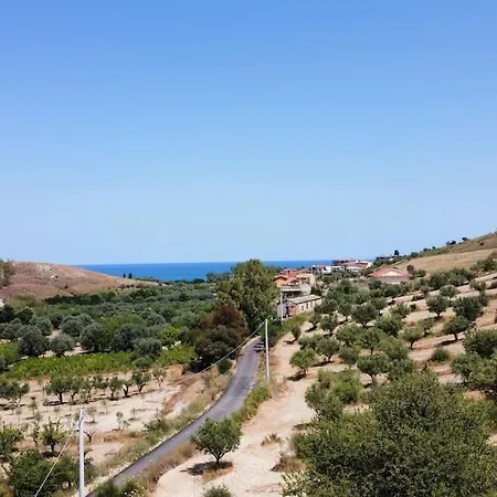 Ulivo A 900 Metri Dal Mare *