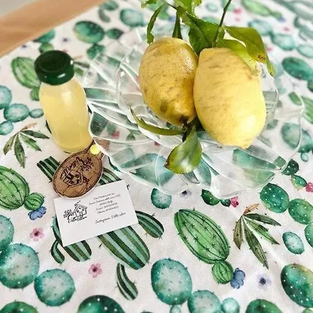 Apartment Ulivo A 900 Metri Dal Mare Santa Caterina Dello Ionio Marina