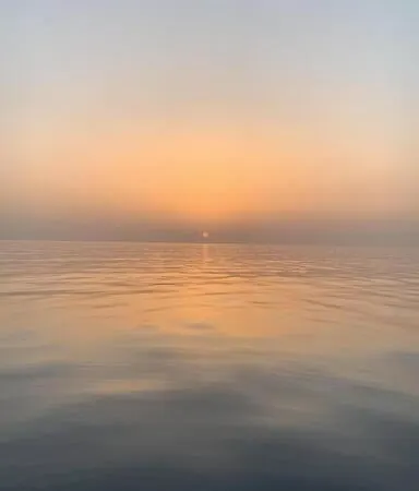 아파트 Ulivo A 900 Metri Dal Mare