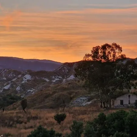 Ulivo A 900 Metri Dal Mare *