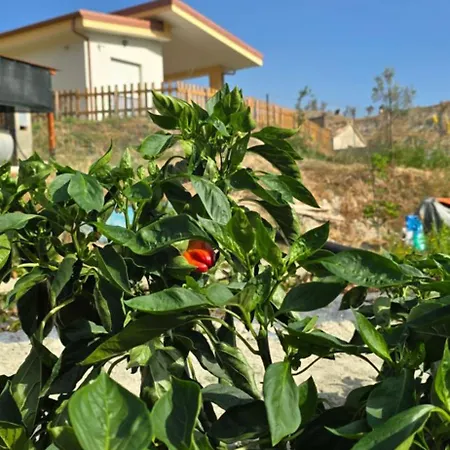 Ulivo A 900 Metri Dal Mare 아파트 *