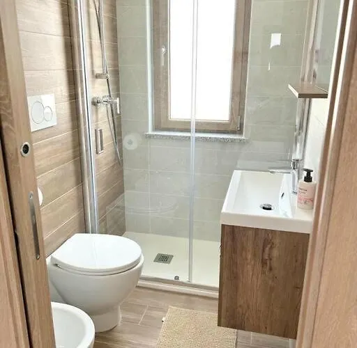 Ulivo A 900 Metri Dal Mare